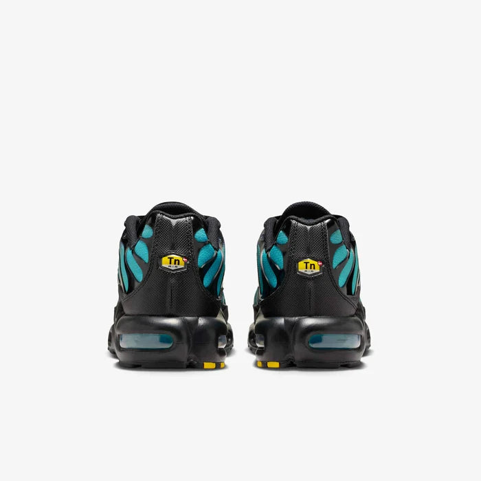 Nike Air Max Plus "Dusty Cactus" DM0032-016 Nike