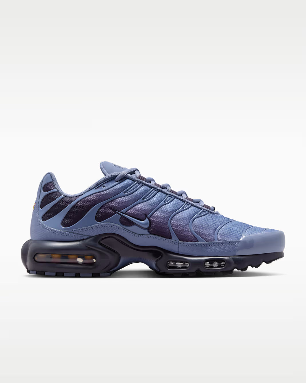 Nike Air Max Plus World Indigo DM0032-404