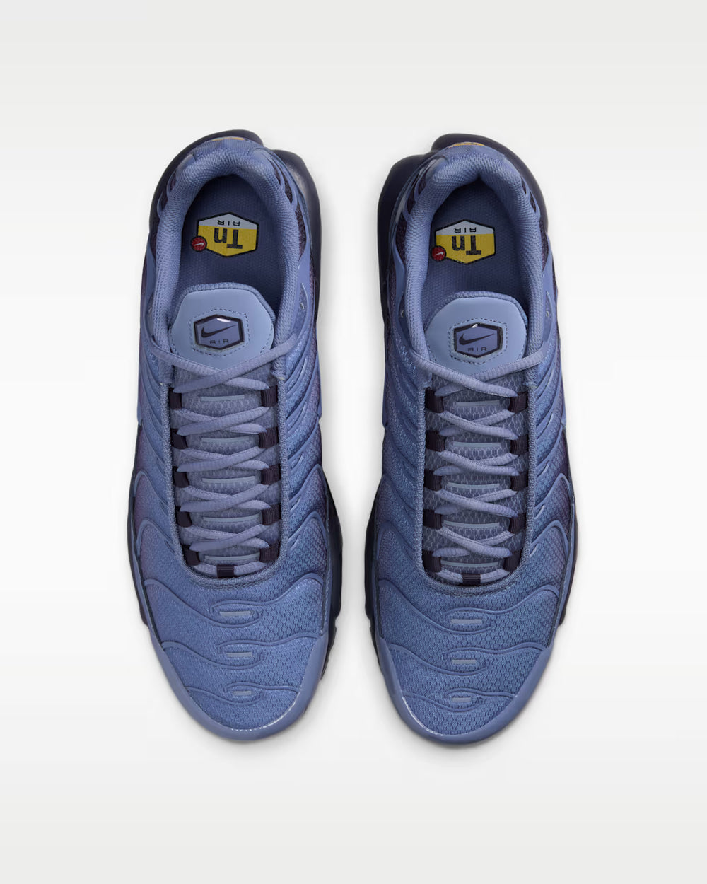 Nike Air Max Plus World Indigo DM0032-404
