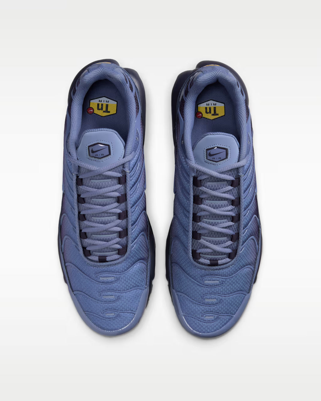 Nike Air Max Plus World Indigo DM0032-404