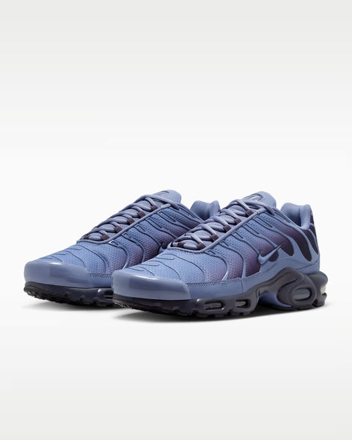 Nike Air Max Plus World Indigo DM0032-404