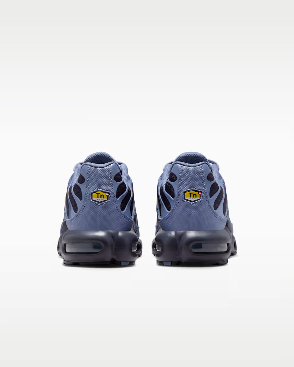 Nike Air Max Plus World Indigo DM0032-404