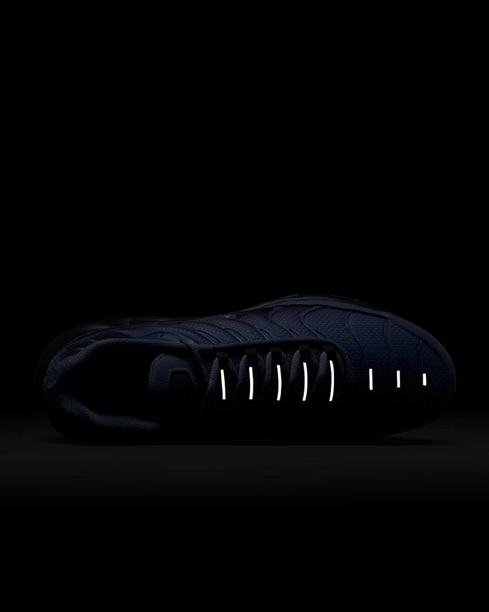 Nike Air Max Plus World Indigo DM0032-404