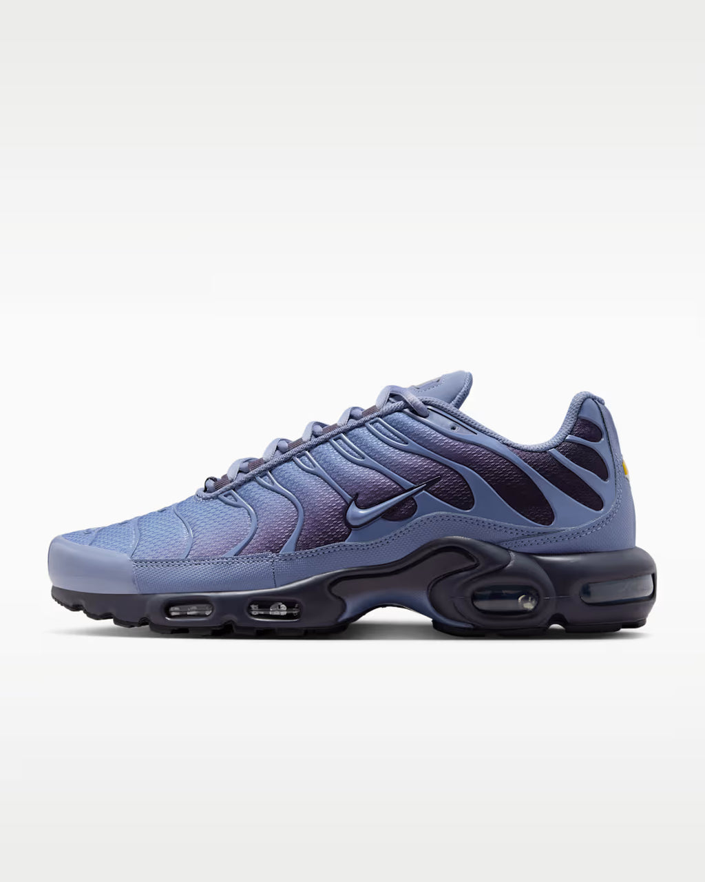 Nike Air Max Plus World Indigo DM0032-404