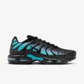 Nike Air Max Plus "Dusty Cactus" DM0032-016 Nike