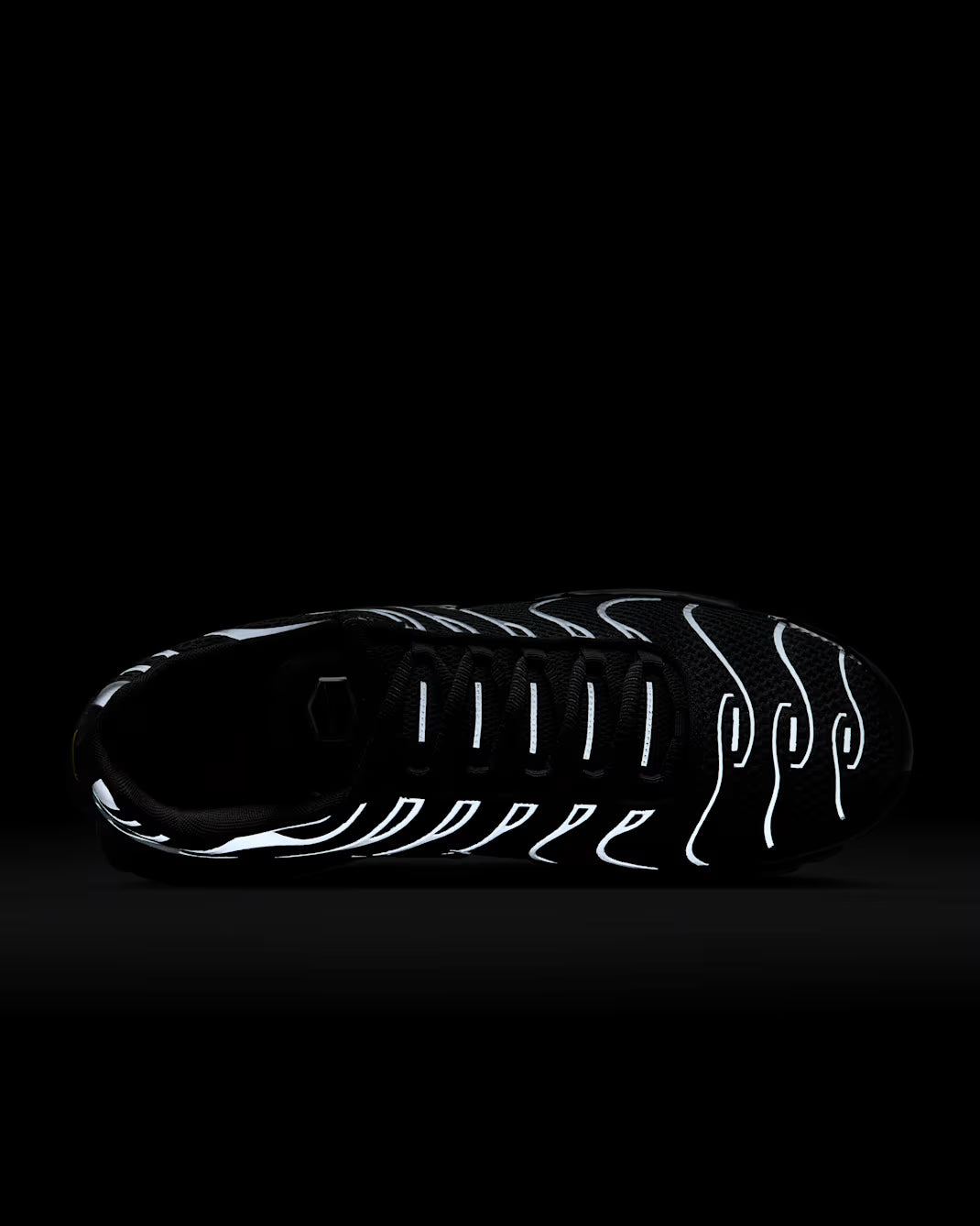 Nike Air Max Plus Premium Nike