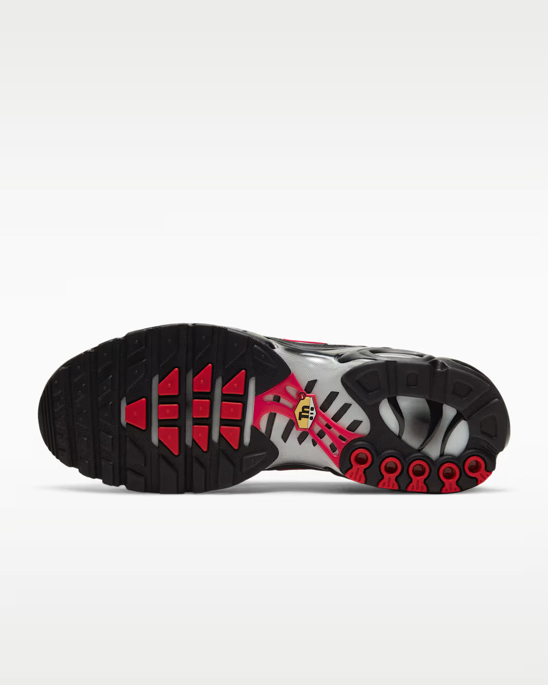 Nike Air Max Plus „Pachetul Topography”